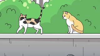 母猫也是会占地盘的呦~