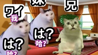 【熟肉】因为赌马1天就把100万日元融化了的小故事 | 猫meme