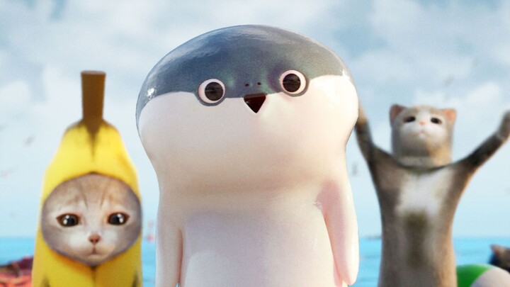 Rùa Sakaban ◉▽◉, trừu tượng hơn mèo