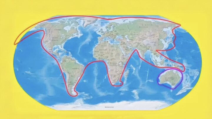 "The Cat User Manual"