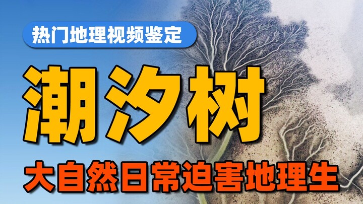 เมื่อทิวทัศน์งดงามถูกเปลี่ยนเป็นโจทย์ข้อสอบ มันก็สูญเสียความงามไป...【ภูมิศาสตร์ท้องถิ่น】