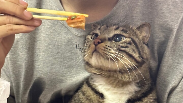 明天就要高考了你还在这里玩？