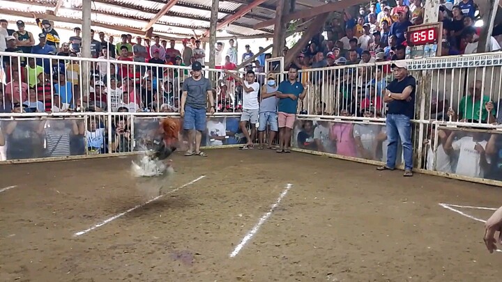 William White x Kelso in Action Pula po ang Atin