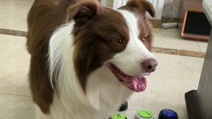 Ngư Tử: Không khí đang lên cao thì mày lại xuất hiện làm gì thế?