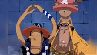 Khi băng Mũ Rơm hợp thể, Robin từ trối phũ phàng #anime #onepiece