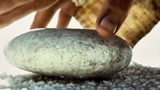 Một hòn đá biến thành một con cua