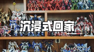 【日常】有700多个模型是什么体验？沉浸式体验模玩UP的家！已经没地方放了！