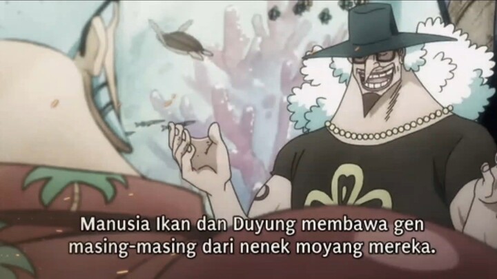 DIKIRA SAMA?! Ternyata Gen duyung& manusia ikan BEDA BANGET🫣