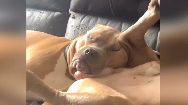 "พี่ชาย ที่นี่ไม่เหมาะจะนอนนะ"