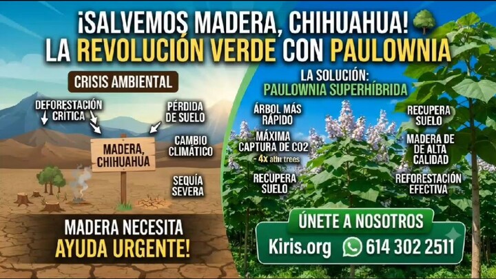 grandes retos en Madera Chihuahua México