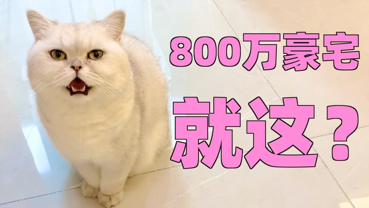 เช่าคฤหาสน์หรูราคา 8 ล้านให้แมวอยู่! พอเปิดประตูเข้ามาก็เจอช่างกำลังทุบผนัง เลยต้องรีบหนีกลับบ้านกลา