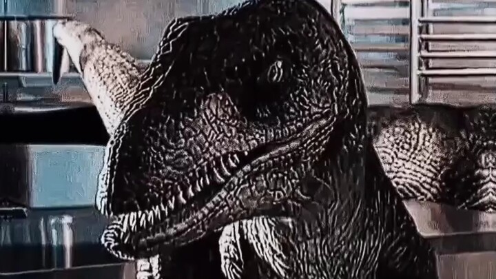 “Raptor”