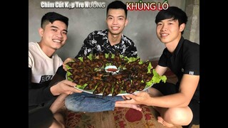 TAM ĐẢO TV | Chim CÚT Kẹp Tre Nướng ! Siêu To Khổng Lồ. ( Grilled bamboo quail )