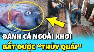 💥Ngư dân bắt được SINH VẬT KHỔNG LỒ dài gần 5 MÉT khi đang đánh cá ngoài khơi | TIN GIẢI TRÍ