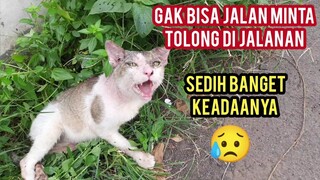 Astahfirullah Sudah Lumpuh Masih Scabies Minta Tolong di Obati Di Pinggir Jalan Bikin Sedih Banget.!
