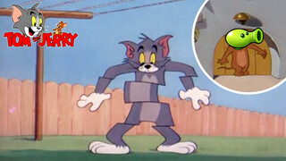 Bagaimana jika menonton Tom and Jerry dengan Plants vs. Zombies?