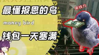 可能是最懂报恩的小鸟？被人救助后天天叼钱回家！网友：我也想要