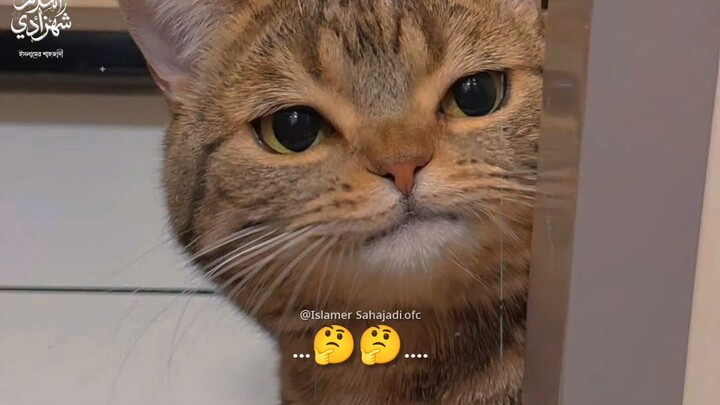 😁😁
