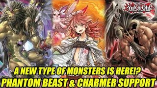 A New Type Of Yu-Gi-Oh! Monster!? Phantom Beast & Charmer Support!