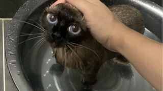 ถึงเวลาที่คนงานเหมืองต้องปรับปรุงใหม่แล้ว