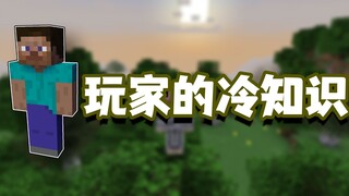 我的世界冷知识：身为玩家的你，真的了解自己吗？