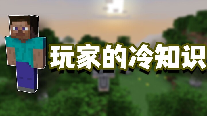 我的世界冷知识：身为玩家的你，真的了解自己吗？