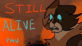 STILL ALIVE | hawkstorm fan pmv