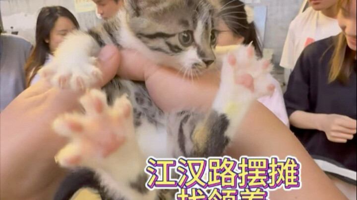 ไม่ถึงชั่วโมงก็พาออกไปได้ถึงเจ็ดตัว!