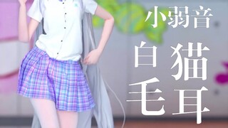 ⚡️正人裙子⚡️