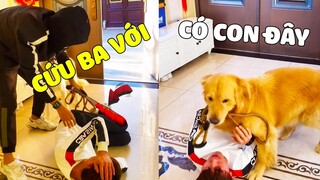 Gâu Đần Family | ĐẢN HOÀNG Và KHAI TÂM Đến Cứu PAPA Nhưng... 😥 Gâu Đần Official