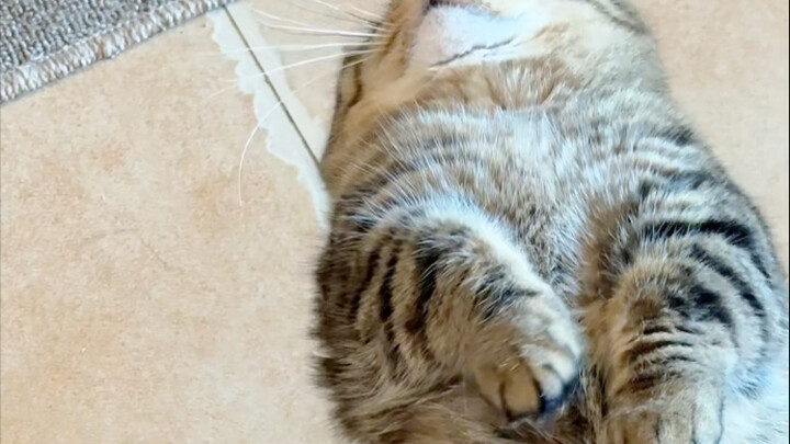 درس فطر الإلهام