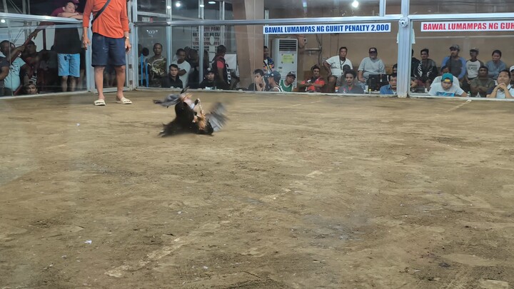 CHAMPION AGAIN SHOWTIME 2 HITS
