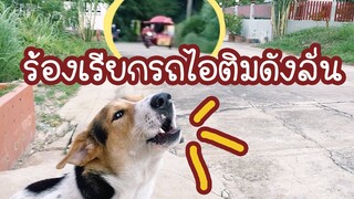 โลกของแสนดี ตอน 1ปีกับการรอคอยรถไอติม..