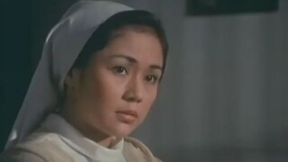 SISTER STELLA