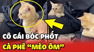 Cô gài BÓC PHỐT quán cà phê "MÈO ÔM" làm ăn ngang ngược 😂 | Yêu Lu