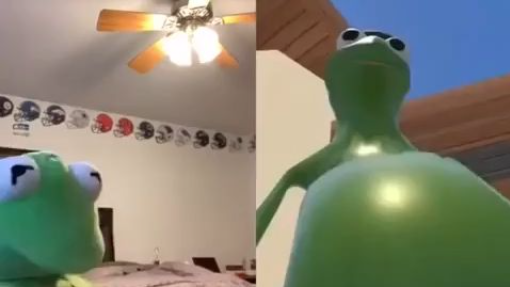 Voicy_kermit