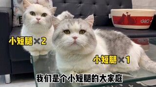 家里有一群小短腿是种什么体验呢～地板都不用自己拖啦！！