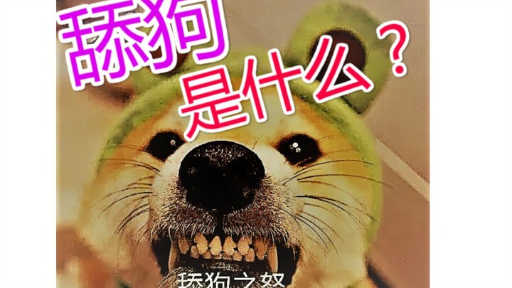 舔狗是什么？你认为的舔狗是什么？你是舔狗吗？【舔狗社会学上册】