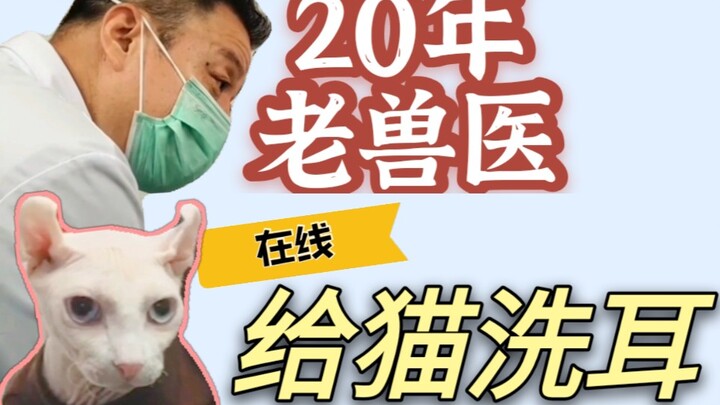 【สัตวแพทย์ผู้เชี่ยวชาญเหลาอิ่นมาให้ความรู้】เกร็ดเล็กๆ: ล้างหูที่บ้านอย่างถูกต้องทำได้อย่างไร?