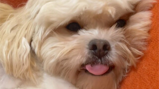 โลกของ Jujuan นั้นเรียบง่ายแค่ไหน?