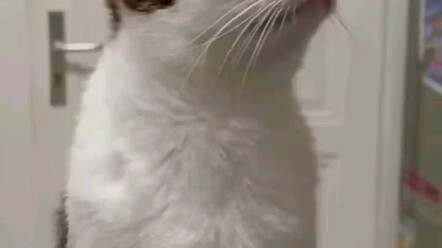 Gigi pun punya kamar sendiri, coba bayangkan...