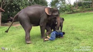 ครอบครัวที่อบอุ่น