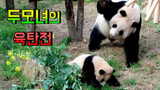 Cute Mommy Panda Huani With Her Baby Panda Fubao