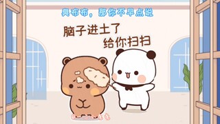 布布偷藏私房钱被一二发现了，竟然是想给一二一个惊喜！