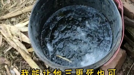 Bodhisattva, Step Back!