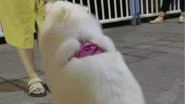 Yeye is naturally thick-skinned; when he gets criticized, he just shuts his ears.