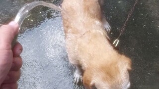 ligo muna
