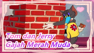 [Tom dan Jerry] Gajah Merah Muda