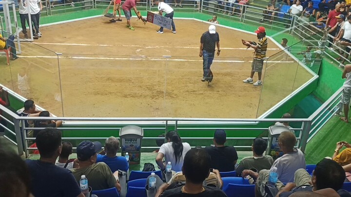 Coliseo de Leganes 2