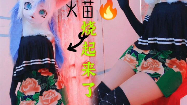 2月第三日 晚班车